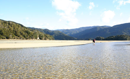 Wild Footprints