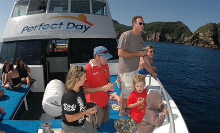 Perfect Day - Poor Knights Tutukaka