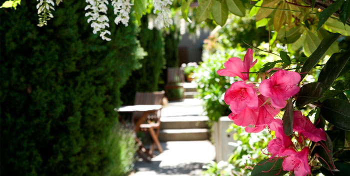 Garden Court Suites & Apartments - Queenstown