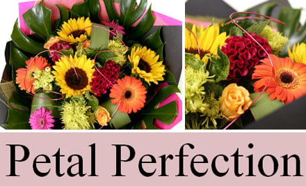 Petal Perfection