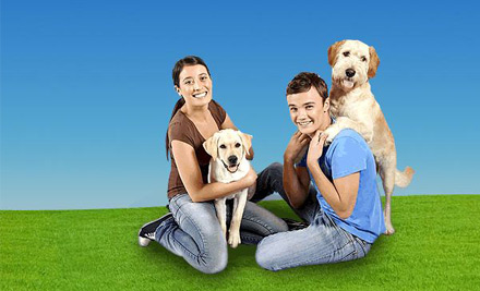 K9 Master Class Pty Ltd