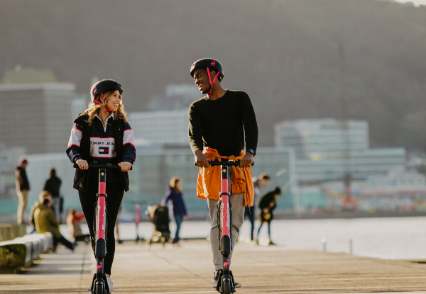 Flamingo Scooters