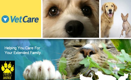 VetCare