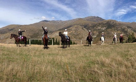 Moonlight Stables Ltd