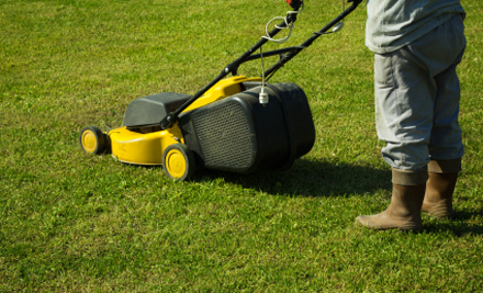 DIN Do It Now Lawn Mowing