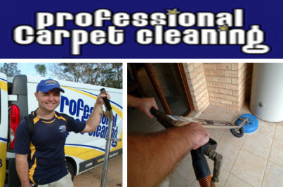 Professional Carpet Cleaning