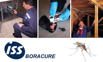 ISS Boracure