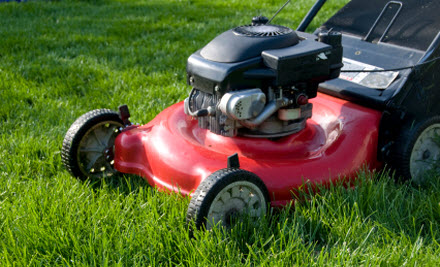 Affordable Mowing