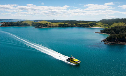 Explore Motutapu