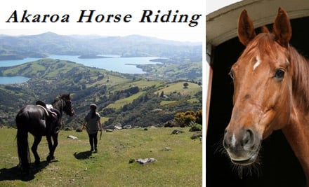 Kate Tapley Horse Treks