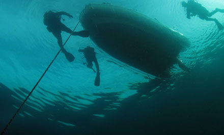 Kiwi Divers