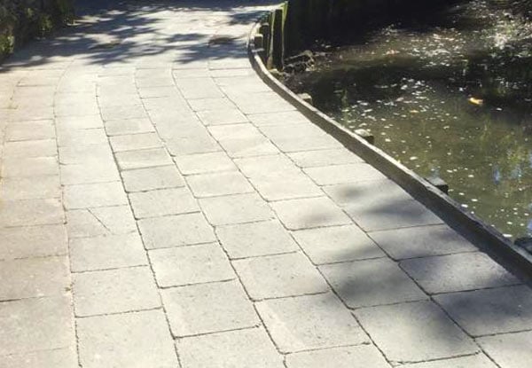 SS garden works & landscaping