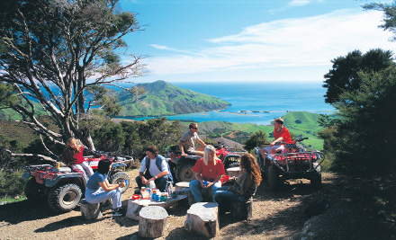 Quadbike Bayview Circuit Ride