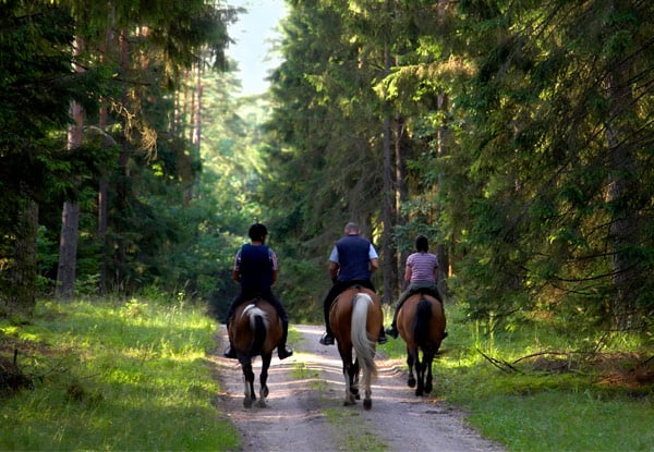 $45 for a 90-Minute Horse Trek (value up to $90)