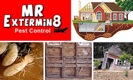 Mr Extermin8