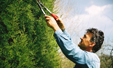 Betreen Property Maintenance