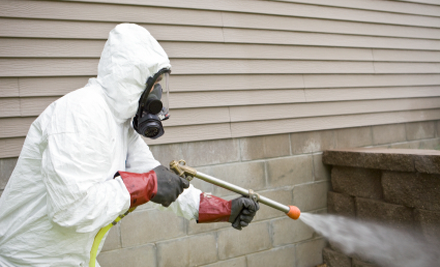 Da Terminator Pest Control