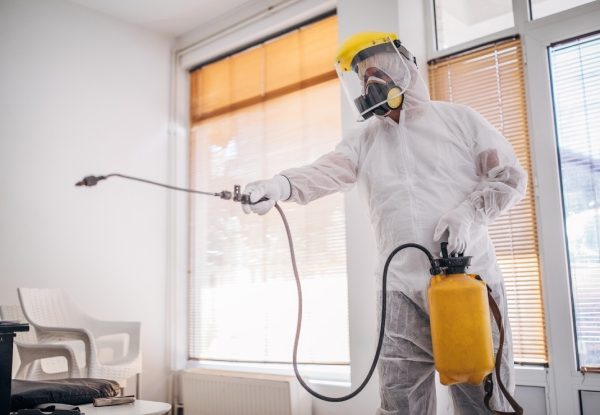 House Disinfection for One Bedroom with One Bathroom up to 60m2 - Options for up to Five Bedroom House