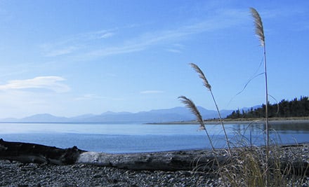 $115 for an A-Frame Motel Unit OR $125 for a Beachfront Motel Unit for Two People in Mapua (value up to $250)