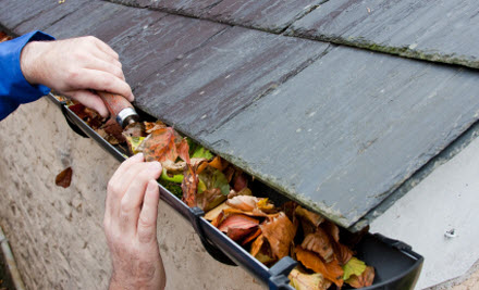 Illawarra All Maintenance Solutions