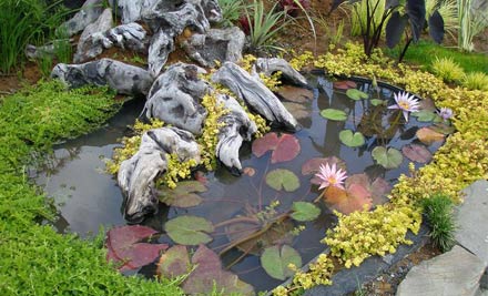 Stone and Water World