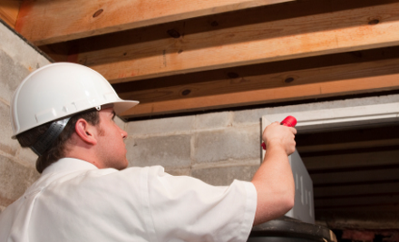 Concept Pest Management