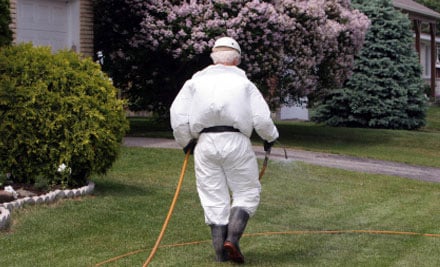 Urban Plus Weedsprayers