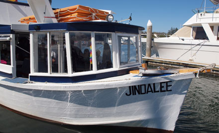 Broadwater Canal Cruises