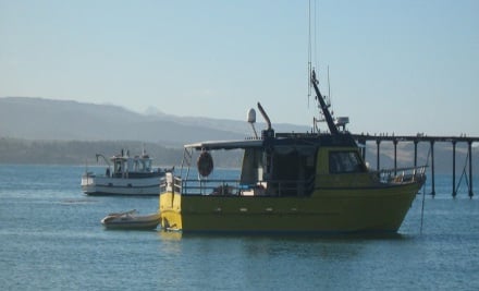 Moeraki Fishing Charters