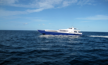 Rivers Whale Watching Cruises