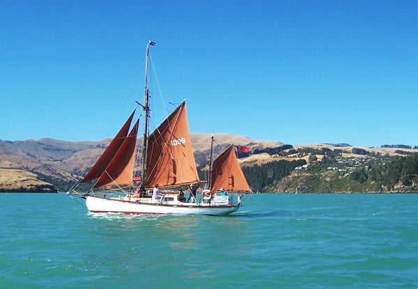 $190 for a Three-Hour Lyttelton Harbour Sailing Tour for up to Six People Onboard The S.V. Oyster or $379 for a Six-Hour Tour (value up to $500)