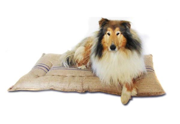 K9 Paws Pet Accessories Ltd