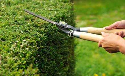 Goshen Cleaning and Garden Care Services