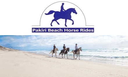 Pakiri Beach Horse Rides