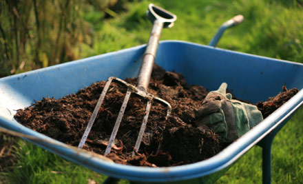 Enterprise Garden Services