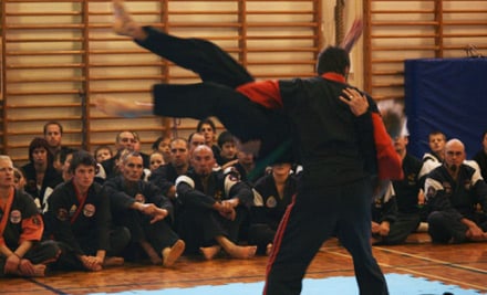 Zen Do Kai Martial Arts New Zealand