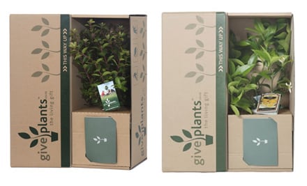 Give Plants LTD
