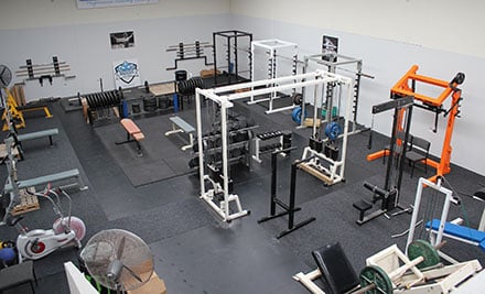 Hibiscus Powerlifting - Power Fit NZ