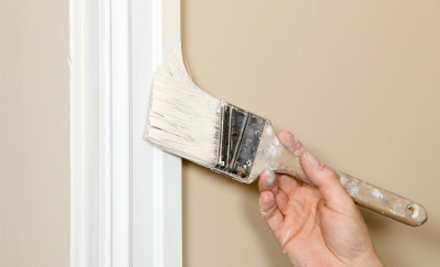 Vivid Painting/Building services