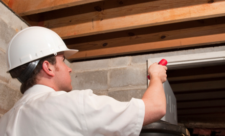 Beat-A-Bug Pest Management