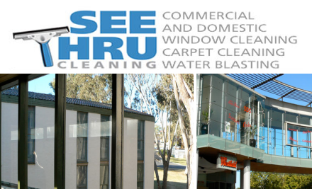 See Thru Cleaning