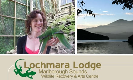 Lochmara Lodge