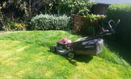 Dan's Mowing