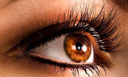 Lash Envy