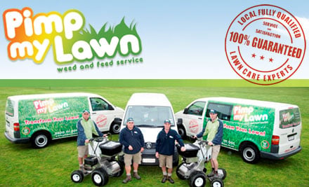 Pimp my Lawn