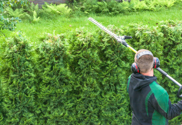 Jazzmowing