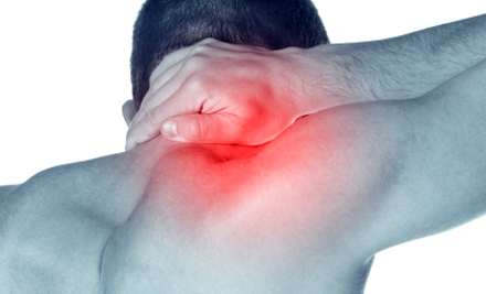 Selected Chiropractors in Adelaide