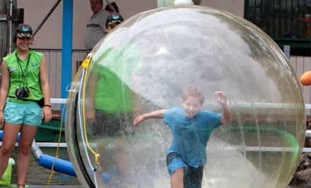 Aussie Waterballs