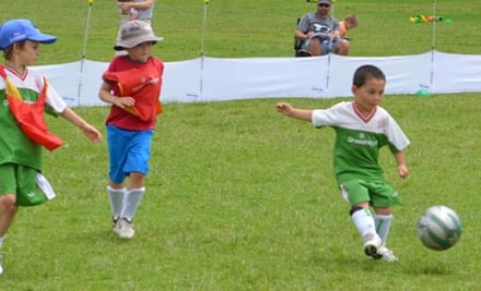 Grasshopper Soccer