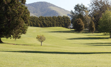 Stewart Alexander Golf Club